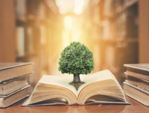 world philosophy day concept with tree of knowledge planting on opening old big book in library full with textbook, stack piles of text archive and blur aisle of bookshelves in school study class room